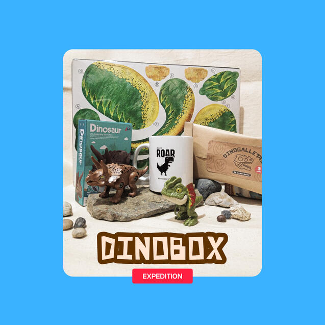 DINOBOX - Expedition